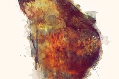 WOLF IPHONE WALLPAPER BACKGROUND