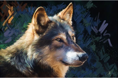 Pictorial Art Wolves Painting Art Alberto Guillen Glance Head ...
