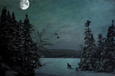 WOLF ART WALLPAPER   (