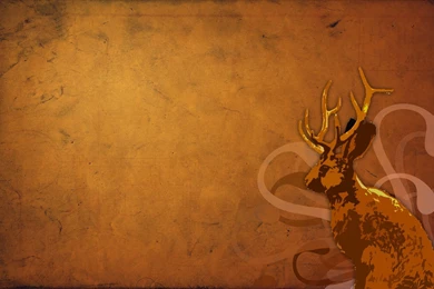 Gallery For   Desktop Wallpapers Switcher Ubuntu