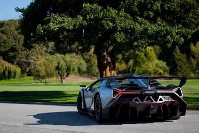 Download Wallpapers 1920x1080 Lamborghini, Veneno, Supercar, Rear ...