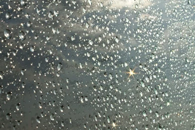 Shiny Water Drops Wallpapers   Photography Wallpapers