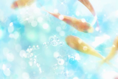 50 Shiny Beautiful Wallpapers HD 1920 X 1200 Www.HQPictures.tk ...