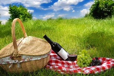 Picnic Wallpapers Widescreen