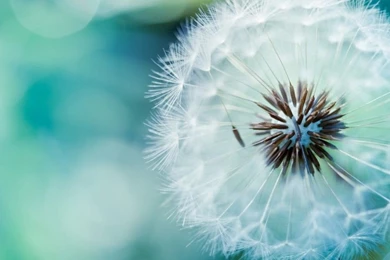 HD Desktop Backgrounds Wallpapers HD F67   Pretty Wallpapers HD