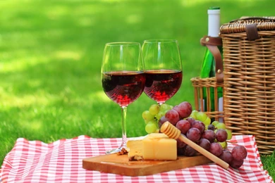 Picnic Wallpapers High Quality Resolution