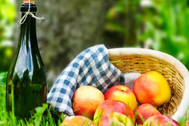 Download Picnic Wallpapers HD Resolution