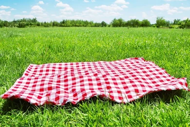 Picnic Wallpapers 3872x2592px
