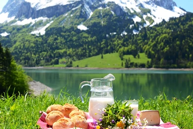 Picnic Wallpapers Photo