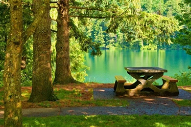 Picnic Table   (