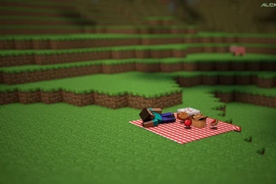 Steve's Picnic (Wallpaper) By AlcaMagic On DeviantArt