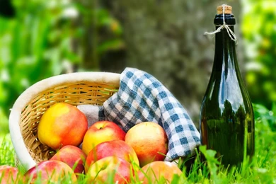 Picnic Wallpapers Full HD