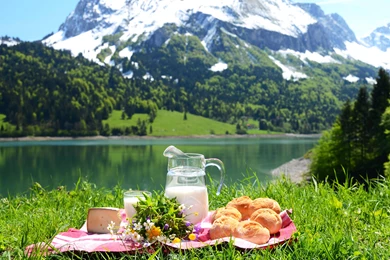 Picnic Wallpapers Wide