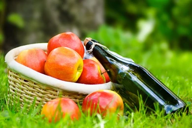 Download Picnic Wallpapers High Definition