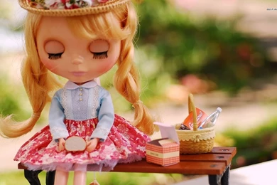 Doll At A Picnic Wallpapers   Photography Wallpapers