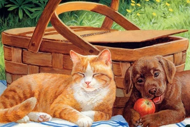 1280x1024 Cute Cat & Dog Picnic Desktop PC And Mac Wallpapers