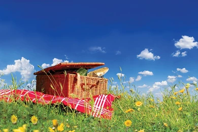 Download Picnic Basket Wallpapers Mobile