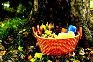 Download Picnic Basket Wallpaper Images