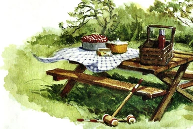 PICNIC DAY 1 WALLPAPER   (