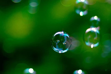 Pretty Green Wallpapers   HD Wallpapers Lovely