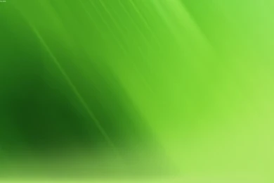 Green Simple Twitter Backgrounds   Twitterevolutions