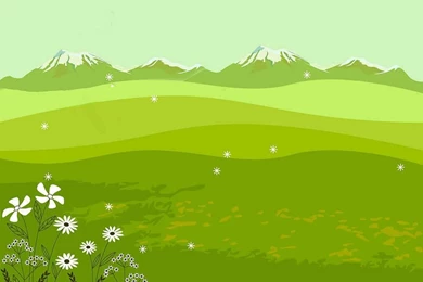 Pretty Green Wallpapers   HD Wallpapers Lovely