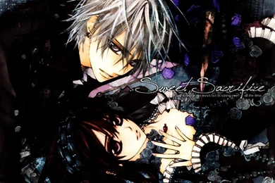 Wallpapers Vampire Knight Anime Image