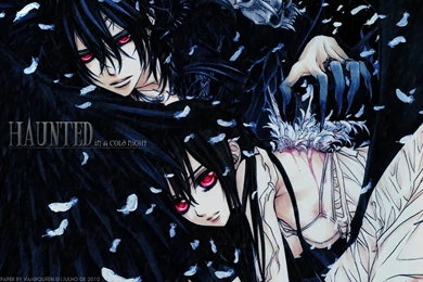 Vampire Knight, Wallpapers   Zerochan Anime Image Board
