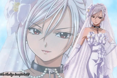 Wallpapers Rosario To Vampire Anime Image