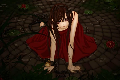 Vampire Knight Wallpapers HD Download