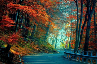 Full HD 1080p Autumn Wallpapers HD, Desktop Backgrounds 1920x1080