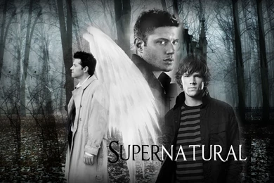 Alfa Img   Showing > Supernatural Wallpapers Dean Sam Castiel Desktop