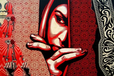 Gallery For   Fairey Wallpapers