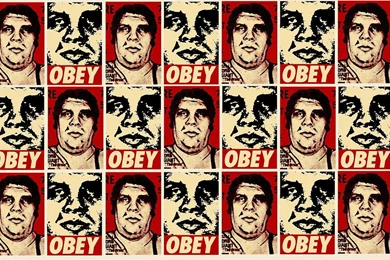 16743) Obey Free Wallpapers   WalOps.com