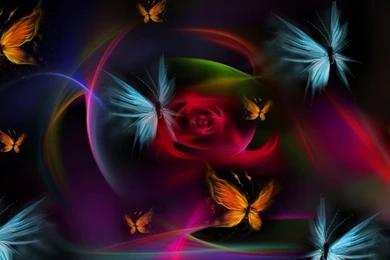Free Download Colorful Butterfly Cute Best High Quality Wallpapers ...