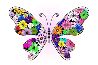 Abstract Colorful Butterfly Hd Images