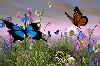 Colorful Butterfly On Flower 27 High Resolution Wallpapers ...