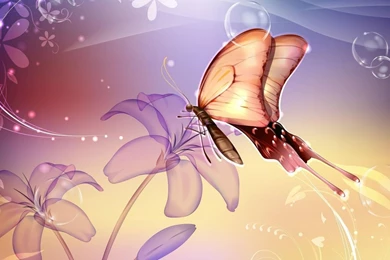 Lovely Wallpapers Flower Butterfly Background Images Colorful ...