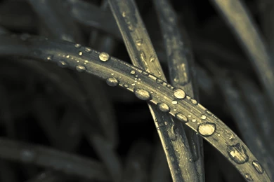 HD Wallpapers Source   Page 458 Of 489   100% Quality HD Desktop ...