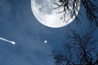 Holiday & Event iPhone 5s Wallpapers