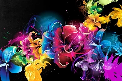 Hd Flowers Wallpapers Download   Wallpapers High Definition