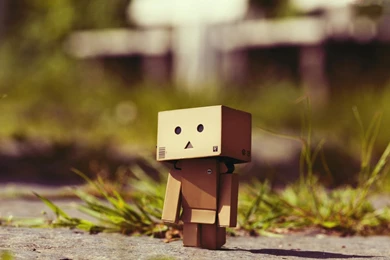 Cute Little Box Wallpapers Picture 1280x1024 Laptop Wallpaper