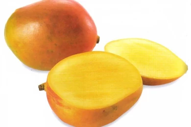 Mango Fruit Wallpapers   Crazy Frankenstein