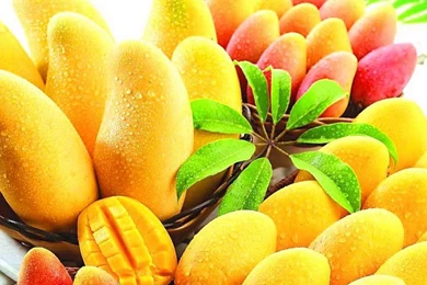 Download This Awesome Wallpapers