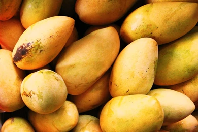 Mango High Definition Nature Wallpapers 85672