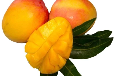 Mango Wallpapers Hd Wallpapers ›› Page 0