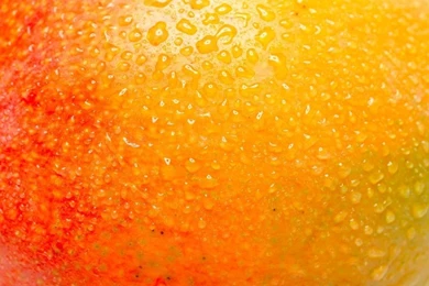 Windows Phone Mango Reaches RTM Stage