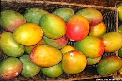 Mango fruit wallpaper free download mangos fruit wallpapers 1680x1050.jpg