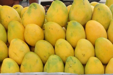 High Definition Mango Wallpapers For Free Download