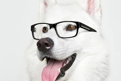 Phone And iPad Backgrounds On Pinterest